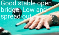 Good stable open bridge. Low and spread out.