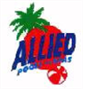 Older Allied Pools Milwaukee, WI Logo