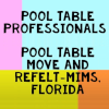 Pool Table Professionals Mims Logo
